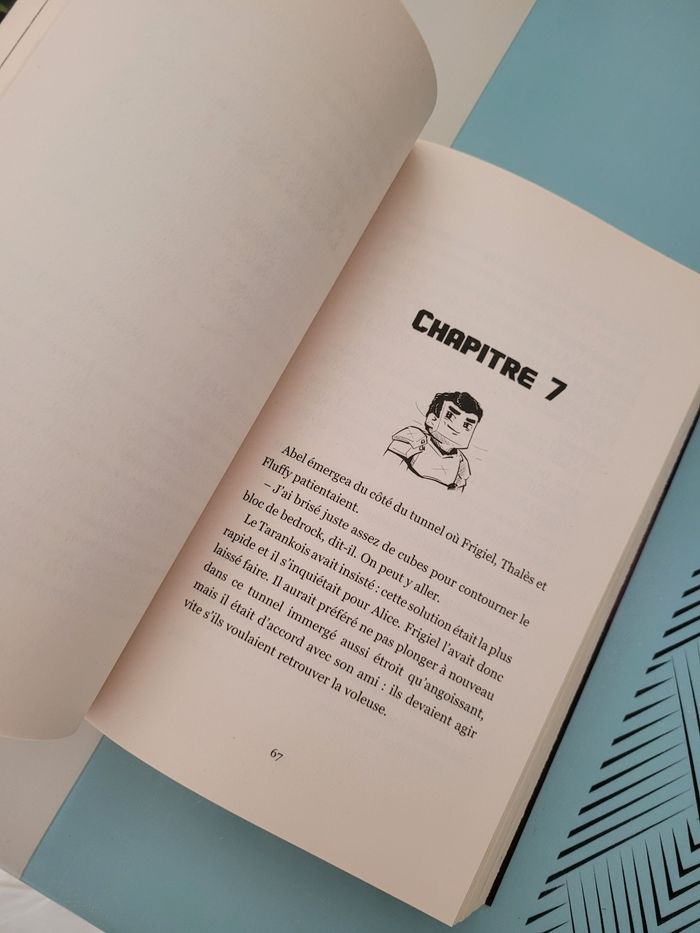 livre frigiel et fluffy les 3 clans  (6e) - photo numéro 3