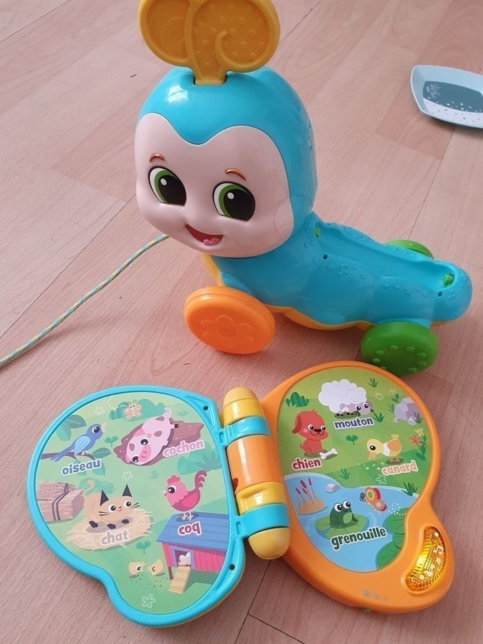 Papillon livre - photo numéro 4