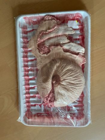 Faux sein pour Halloween