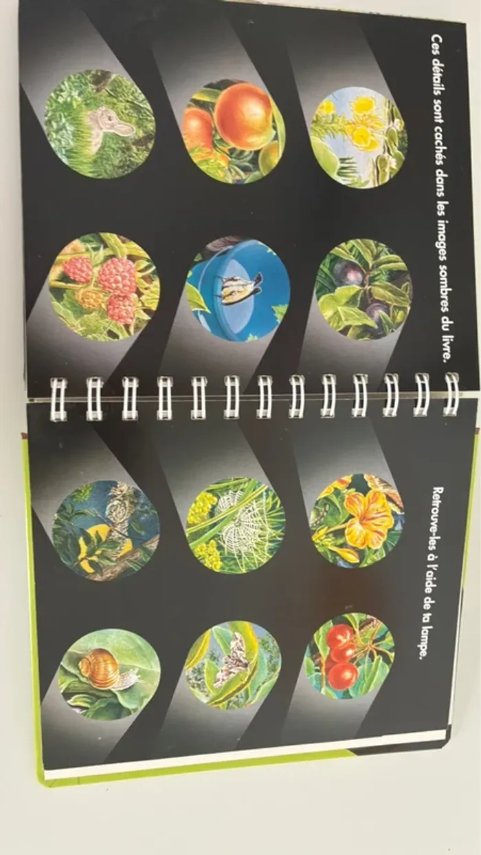 Livre Le jardin lampe magique - photo numéro 3