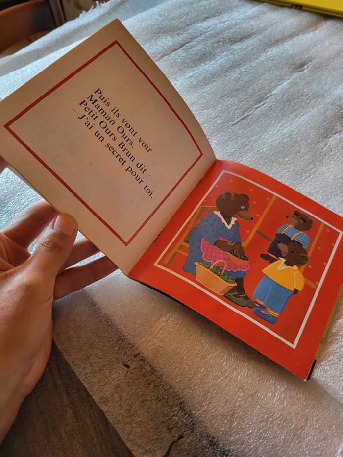 Petit ours brun - photo numéro 4