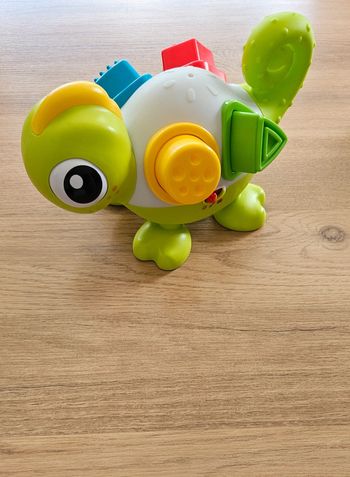 Léon le caméléon, apprentissage couleurs, formes