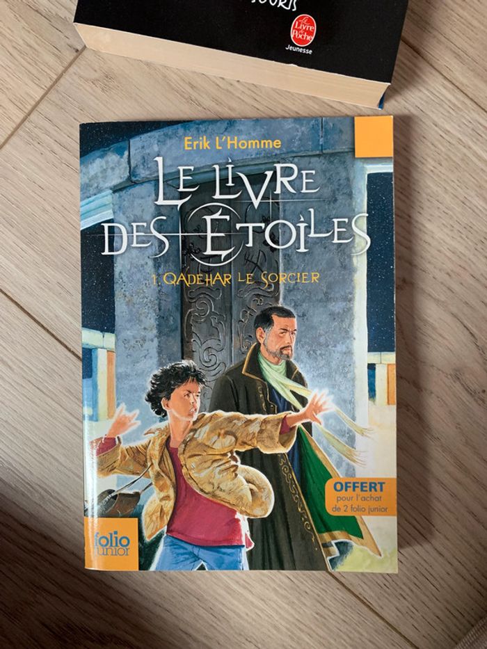 Lot de 2 Livres - photo numéro 4