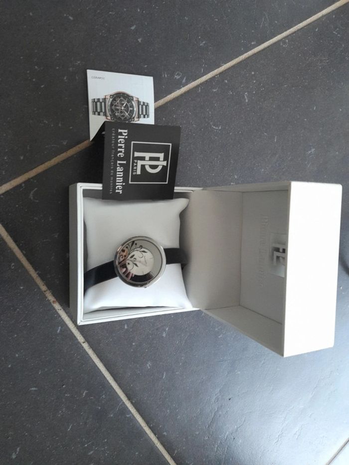 Montre Pierre Lannier