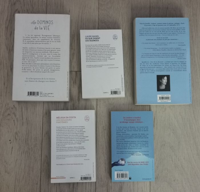 Les dominos de la vie, La nostalgie de l'ange, Les douleurs fantômes , L'Étrange voyage de Monsieur Daldry - photo numéro 2