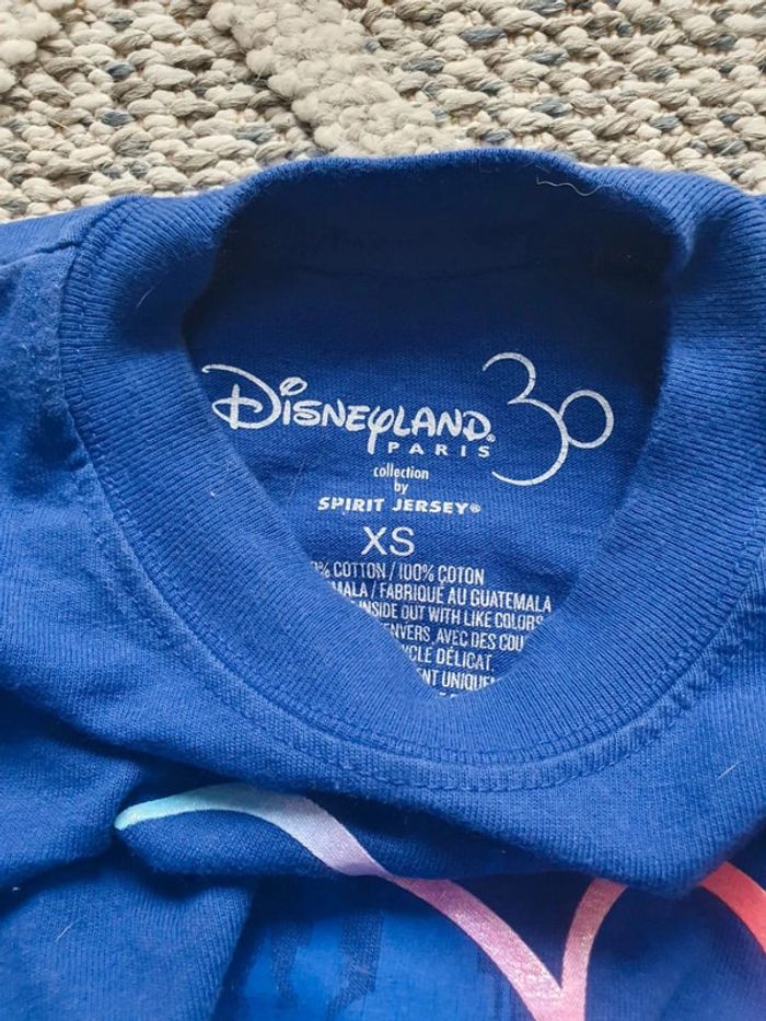 Sweat Spirit Jersey 30 ans disneyland Paris - photo numéro 3