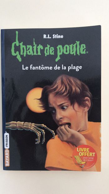Chair de poule