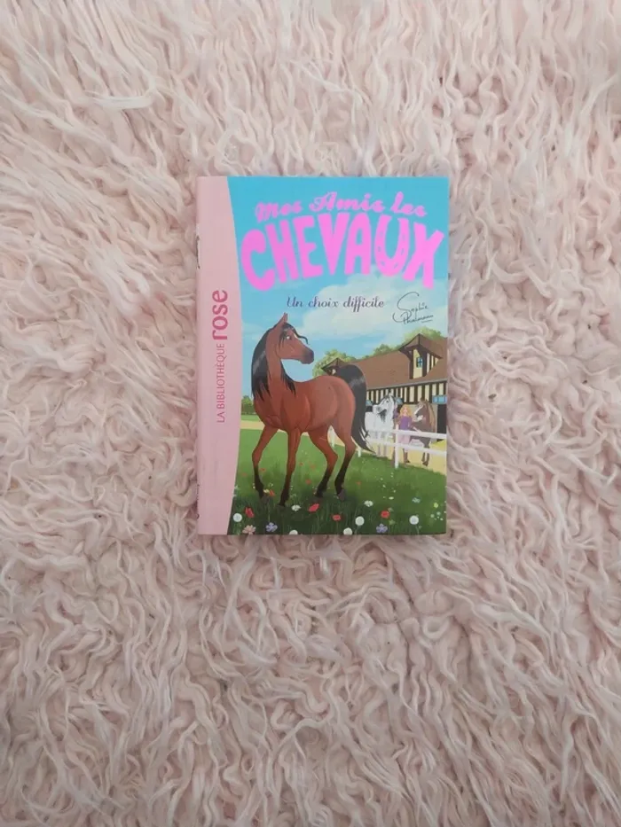 Lot de livre " mes amis les chevaux - photo numéro 4