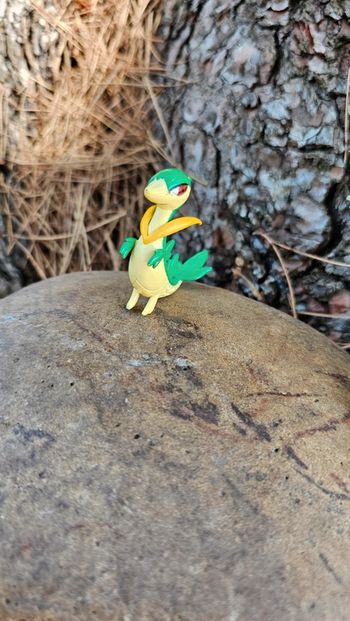 Super figurine Pokemon Nintendo tomy lianaja