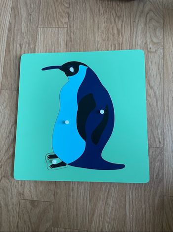 Puzzle Zoologie Montessori : le manchot