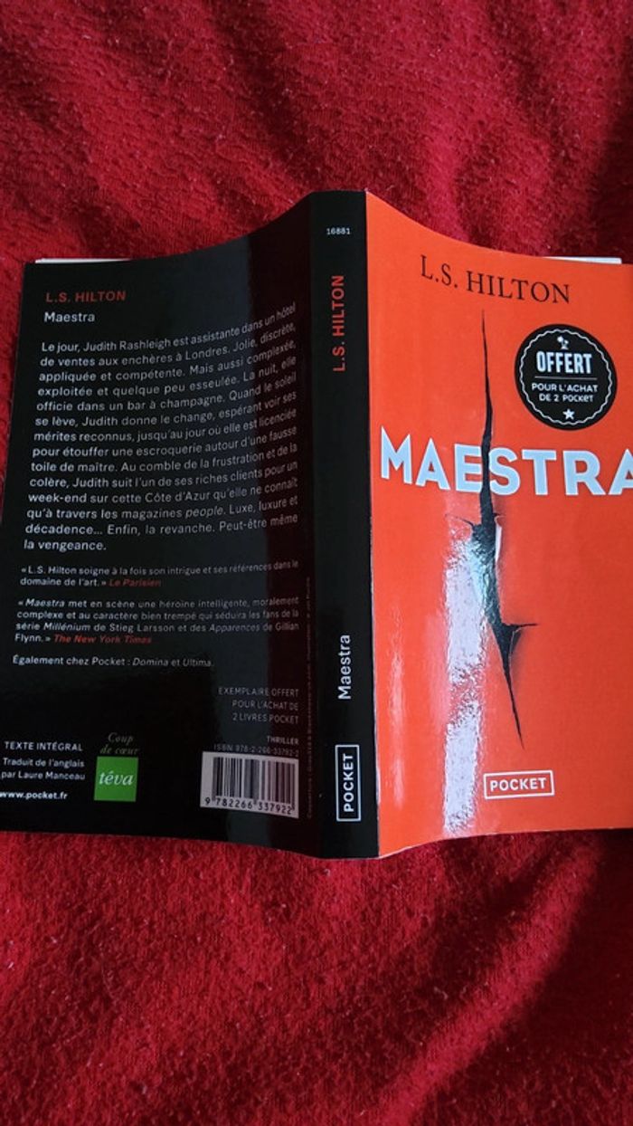 Maestra - photo numéro 4