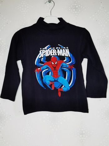 D4095 - sous pull garçon 6 ans