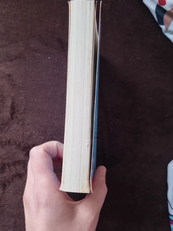 Livre Marc Mevy - photo numéro 5