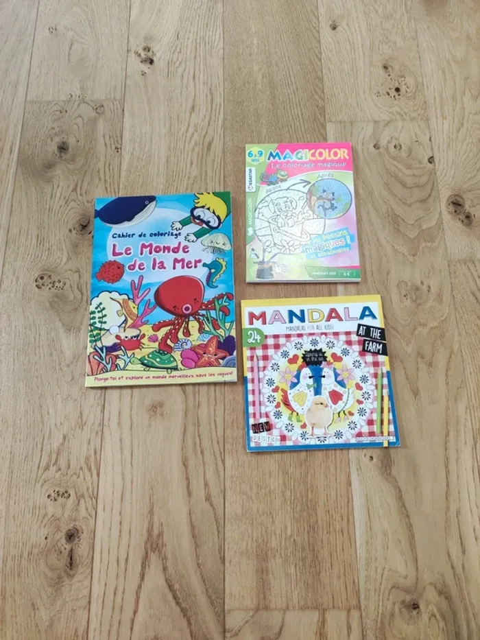 Lot 3 livres de coloriage - très bon état