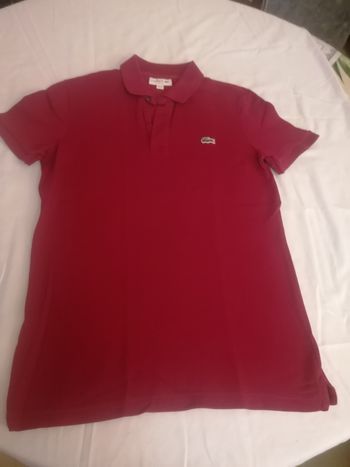 Polo lacoste taille S bordeaux