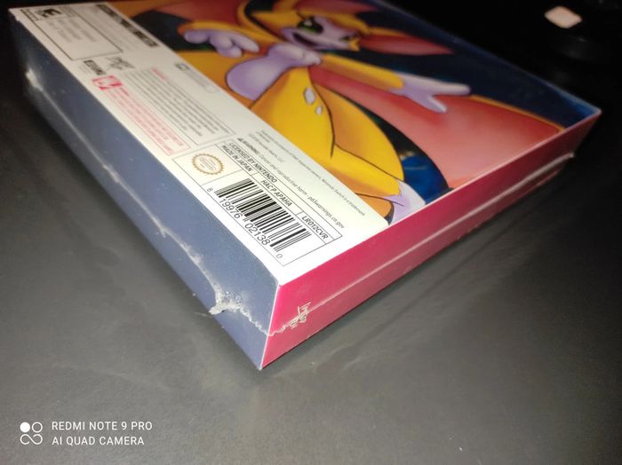 Dust an elysian tail Nintendo Switch - photo numéro 3