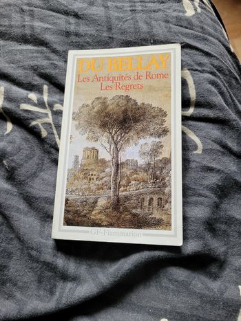 Les antiquités de Rome les regrets Du Bellay