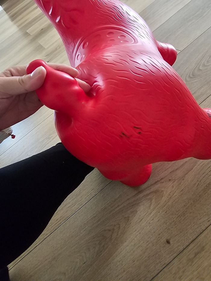 Chien sauteur - photo numéro 2