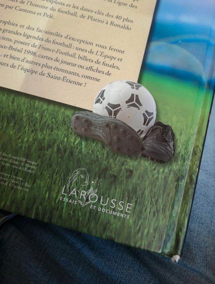 Livre "les légendes du foot" édition larousse - photo numéro 7