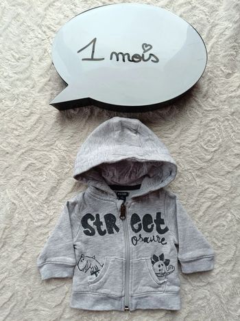 Gilet veste zippée avec capuche Garçon 1 mois streetosaure Dinosaure Kiabi