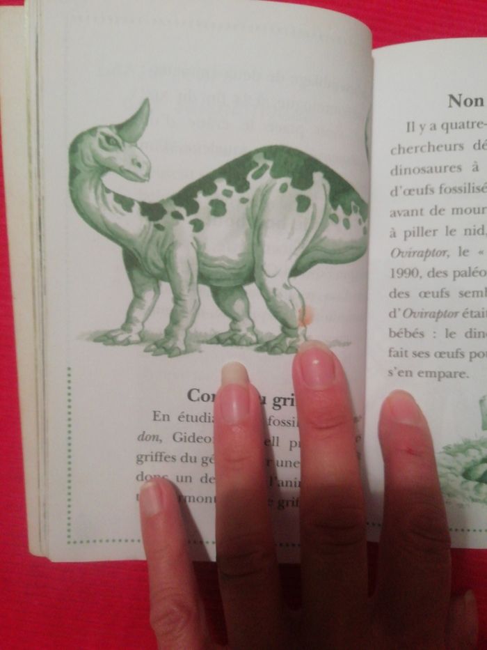 Cabane magique les dinosaures. - photo numéro 3