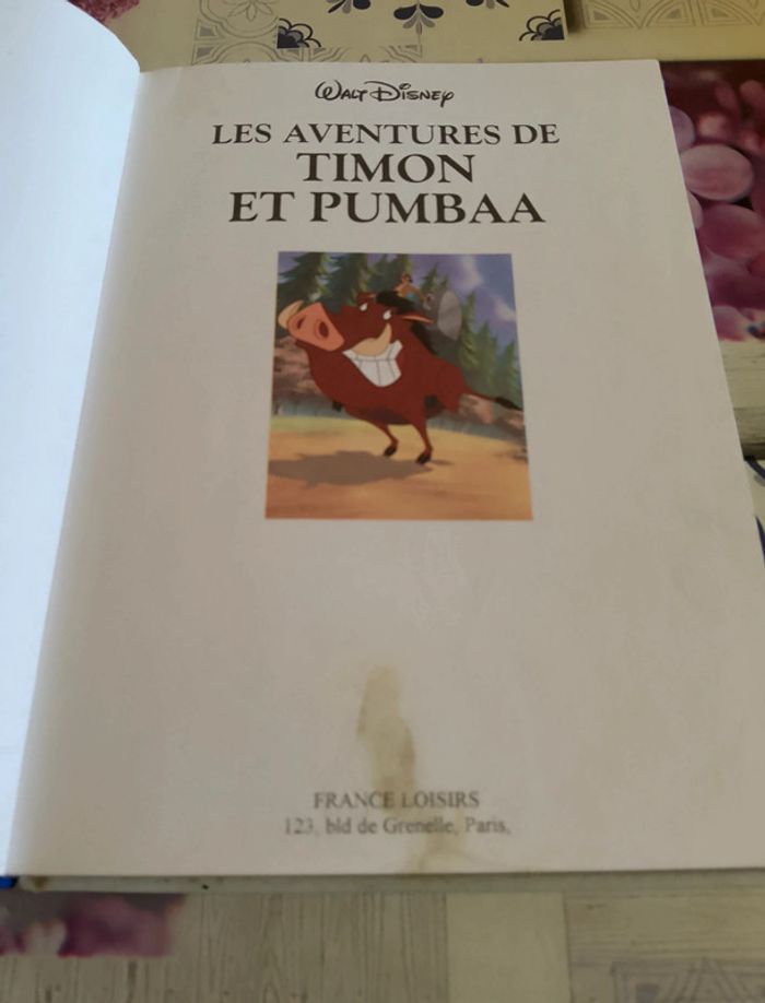 Livre les aventures de Timon et Pumba. - photo numéro 2