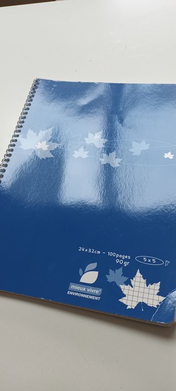 Cahier petits carreaux 24x32cm