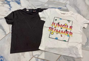 Lot de 2 t-shirts manches courtes zara 2 3 ans