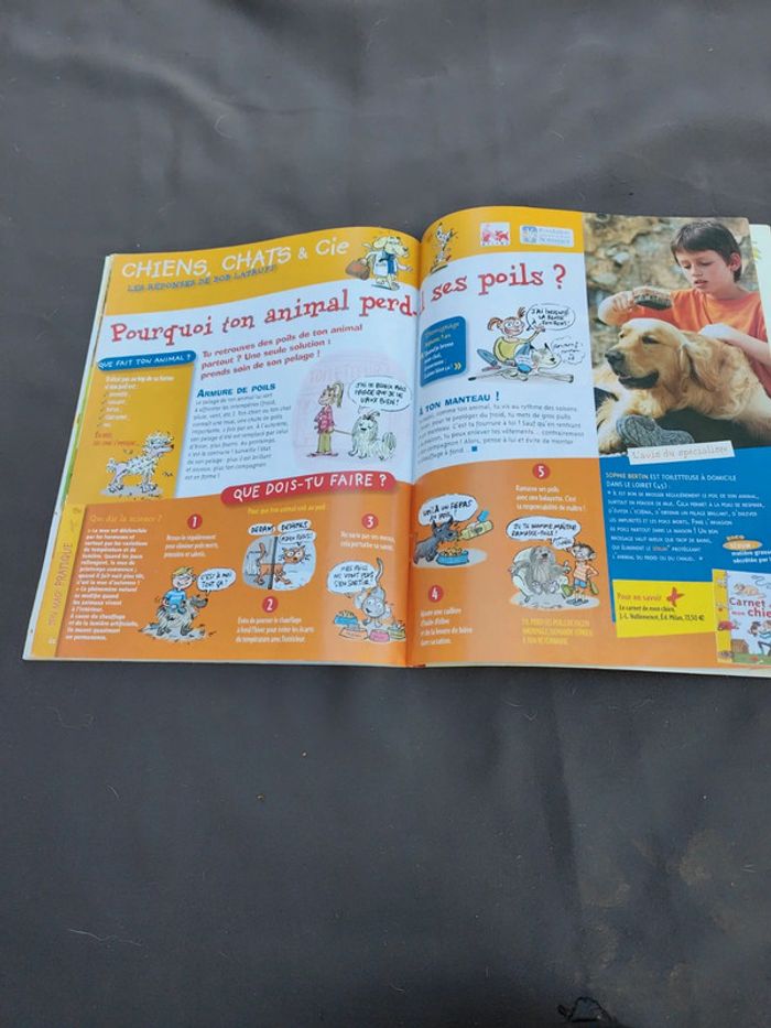 Wapiti quel temps fait il - photo numéro 8