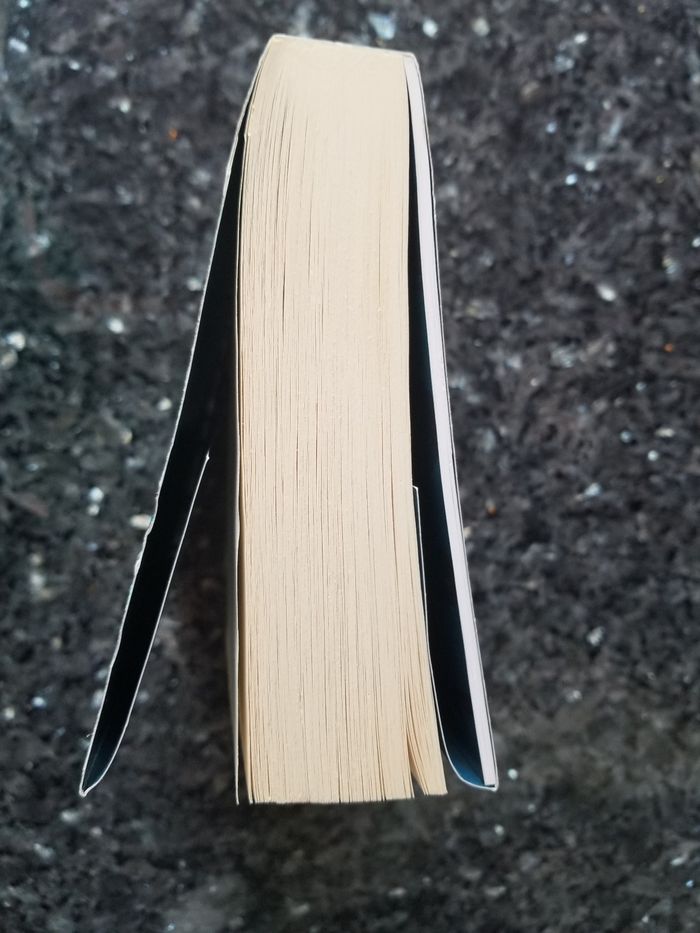 Livre L'Ickabog - photo numéro 3