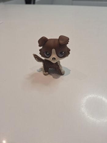 Petshop rare chien collie