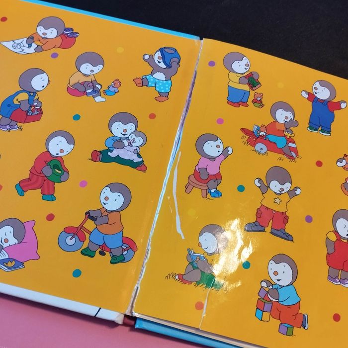 Lot livres enfant Nathan T'choupi - photo numéro 5