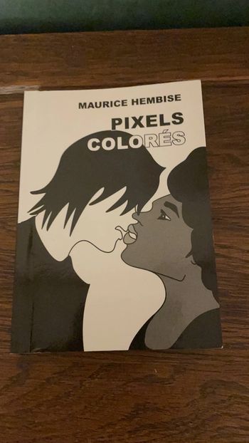 Pixels colorés - Maurice Hembise