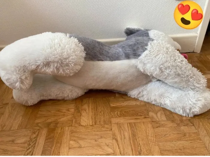 Peluche - photo numéro 4