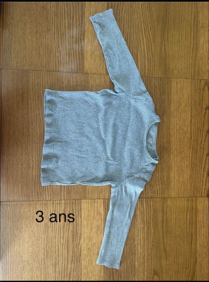 Pulls fin
