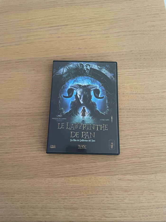 🌟 LABYRINTHE PAN