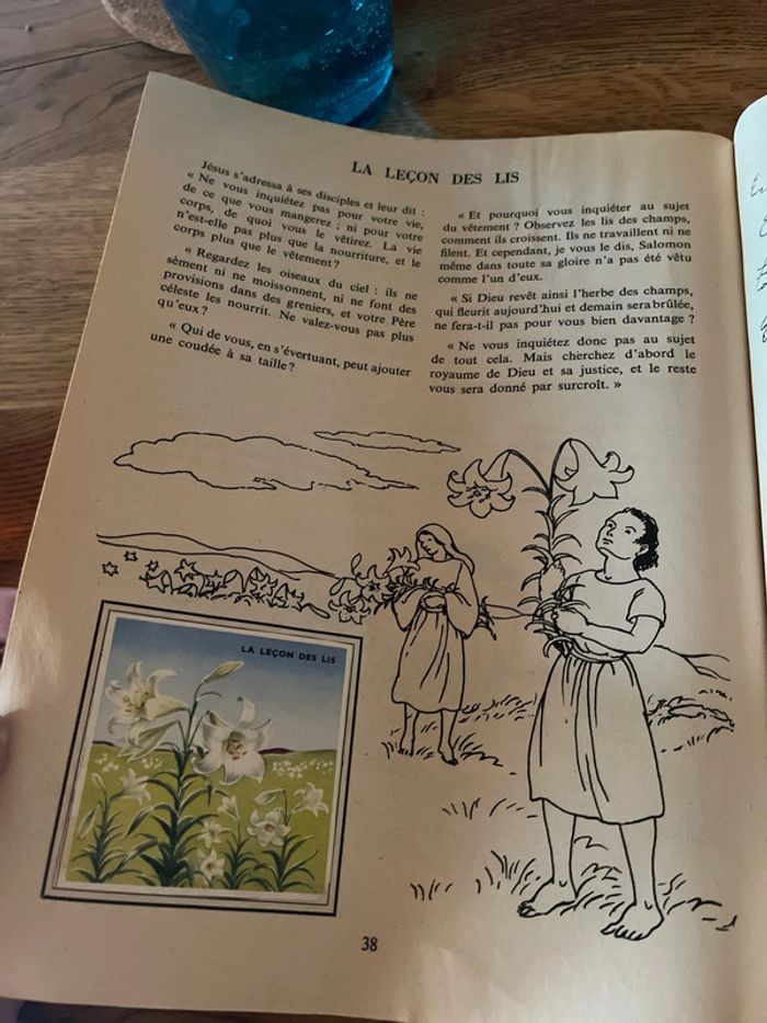 L’encyclopédie par le timbre 1954 - photo numéro 8