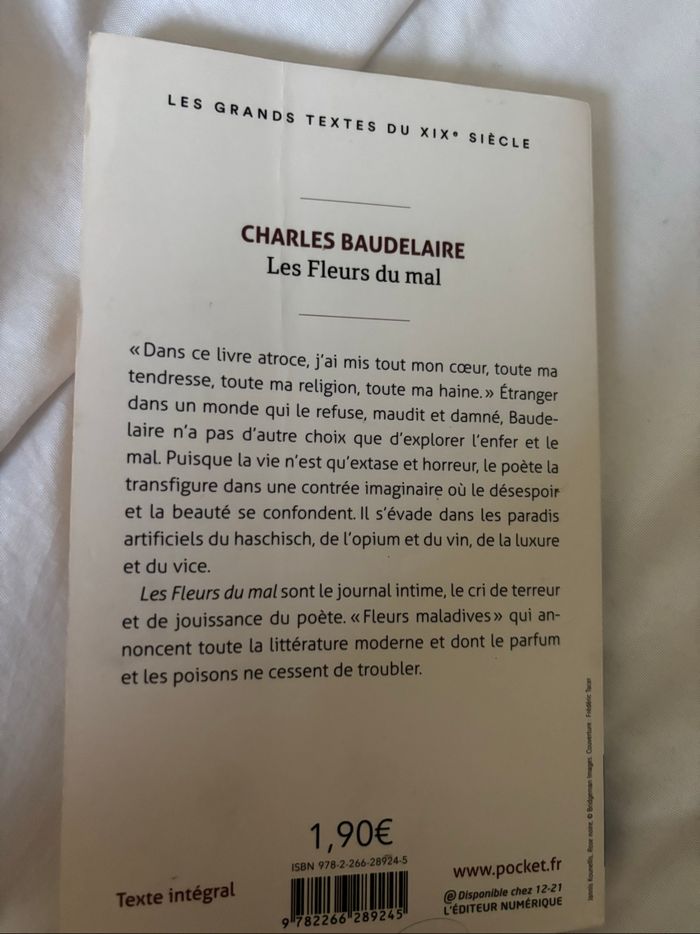 Les fleurs du mal - photo numéro 2
