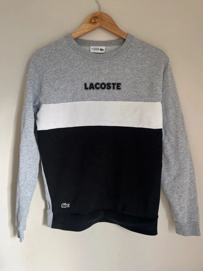 Sweat Lacoste tricolore
