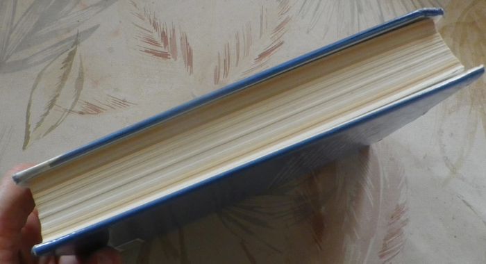 Rends-moi ma vie de Judith Michael Ed. France Loisirs - photo numéro 4