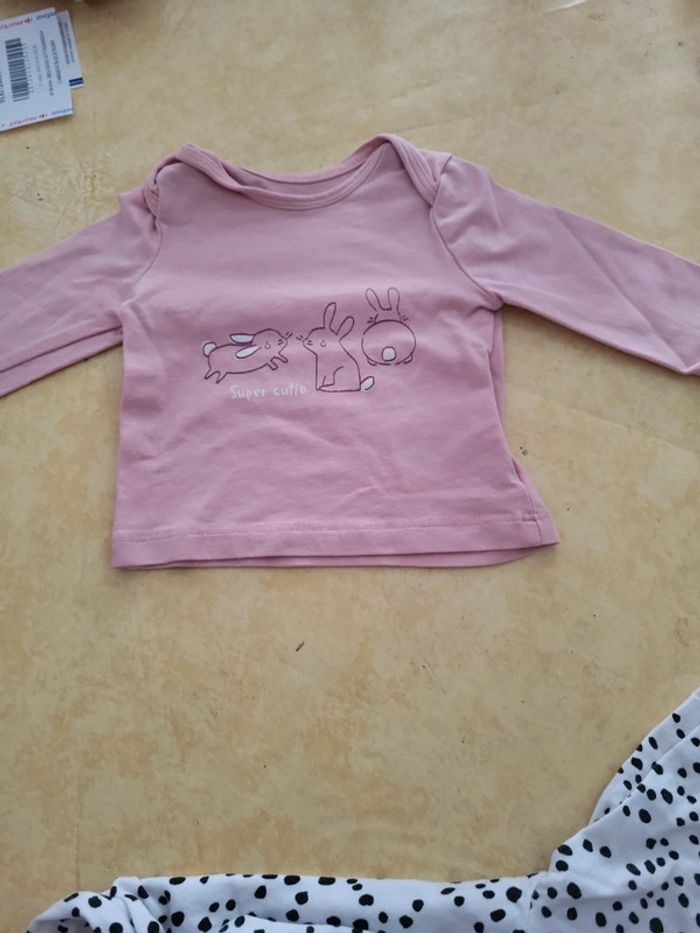 T-shirts lapin - photo numéro 2