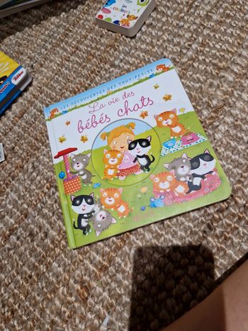 La vie des bébés chats livre fleurus