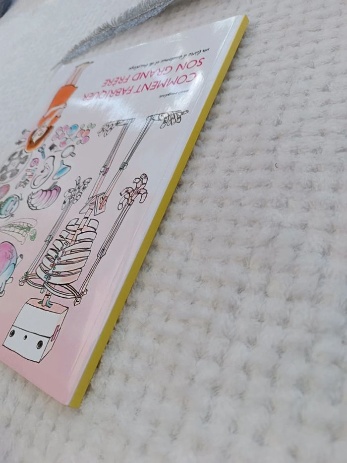 🔸Livre "Comment fabriquer son grand frère" Anaïs Vaugelade🔸 - photo numéro 10