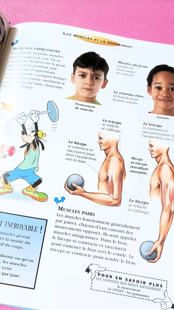 Livre le corps humain disney monde connaissance enfant collection TBE - photo numéro 3