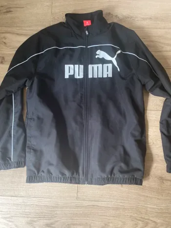 Veste