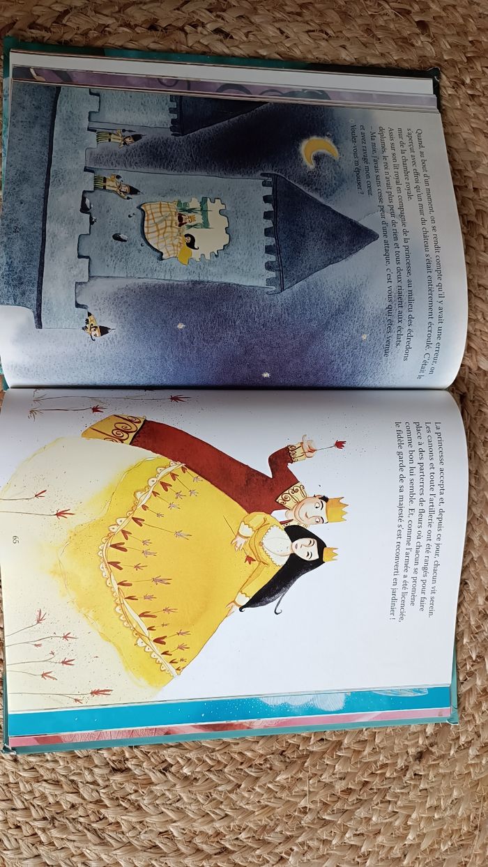 Livres princesses et fée - photo numéro 7