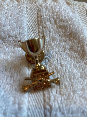 Pin’s la coupe de quidditch Harry potter