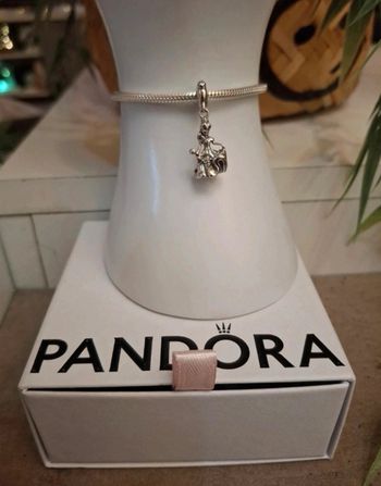 Charm princesse Belle du disney la belle et la bête 