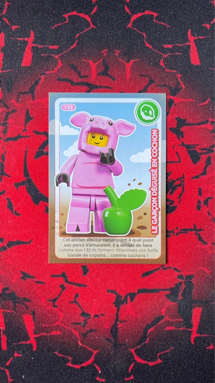Carte Lego Créé ton Monde #133 - Le garçon déguisé en cochon