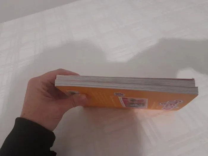Lot de 2 livres melowy à partir de 7ans - photo numéro 6